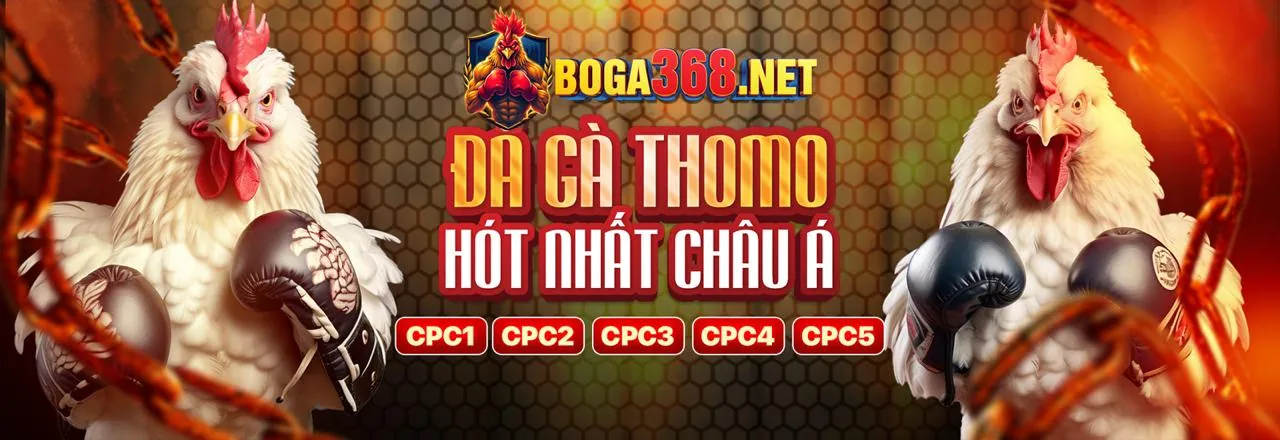hi888 login Blog - Nơi Cập Nhật Tin Tức Cá Cược Mới Nhất